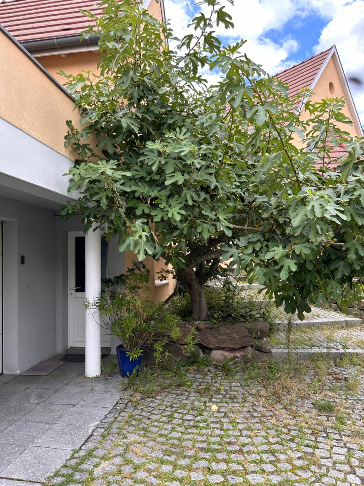 Chambre Privative Au Rez De Jardin Dans Villa Ла Ванзно Екстериор снимка
